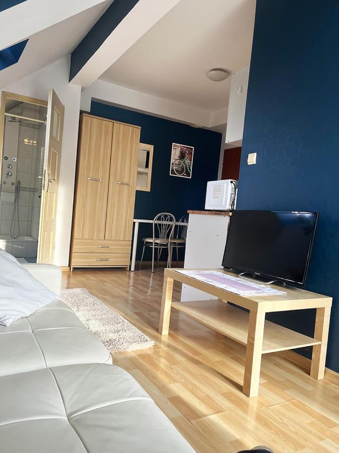 קרקוב Apartament Maria מראה חיצוני תמונה