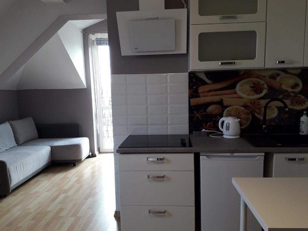קרקוב Apartament Maria מראה חיצוני תמונה
